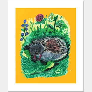 Curious Hedgehog Posters and Art